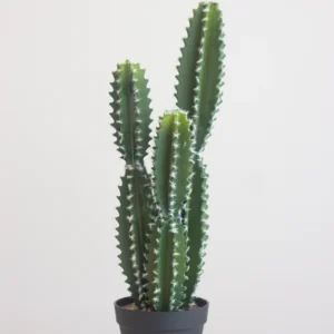 07FauxFairyCactusWhite_576x Faux Fairy Cactus