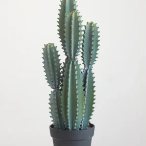 08FauxBlueCactus_576x Faux Blue Cactus