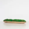 Narrabeen Moss Decor